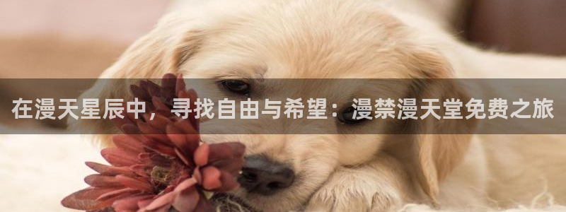 kakaopage韩漫官网：在漫天星辰中，寻找自由与希望：漫禁漫天堂免费之旅