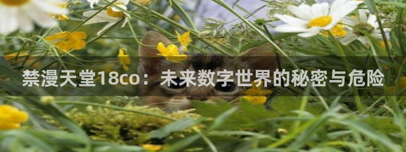 managereader漫画官网入口：禁漫天堂18co：未来数字世界的秘密与危险