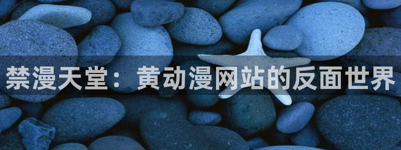 动漫天堂网官网入口：禁漫天堂：黄动漫网站的反面世界