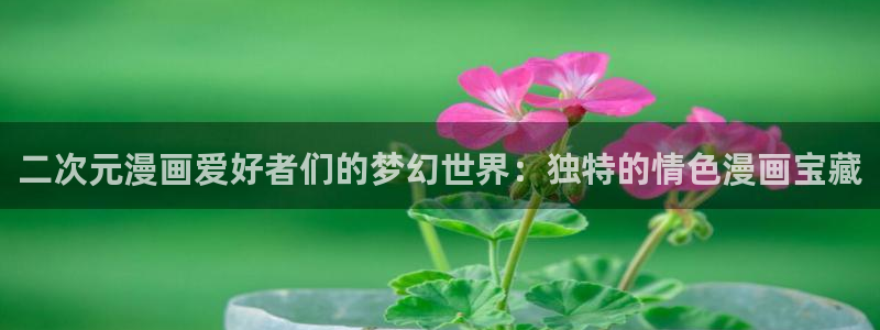 colomanage漫画官网：二次元漫画爱好者们的梦幻世界：独特的情色漫画宝藏