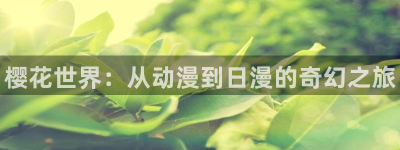 kakaopage韩漫官网：樱花世界：从动漫到日漫的奇幻之旅