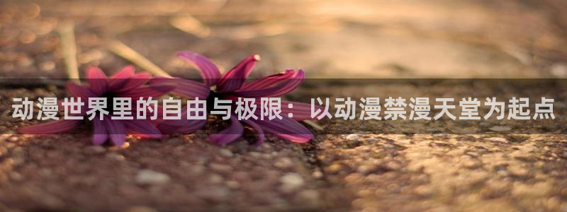 动漫天堂下载：动漫世界里的自由与极限：以动漫禁漫天堂为起点