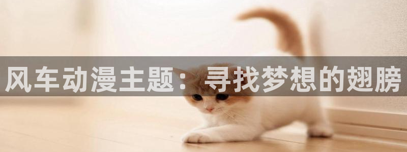 在线动画动漫下载动漫天堂：风车动漫主题：寻找梦想的翅膀
