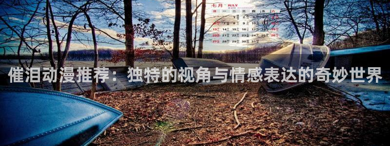 拷贝漫画 copymanager.ory网站：催泪动漫推荐：独特的视角与情感表达的奇妙世界