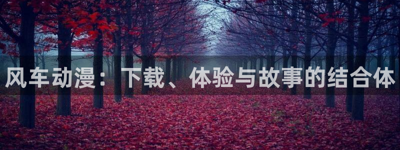 动漫天堂下载：风车动漫：下载、体验与故事的结合体