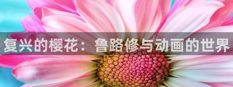 动漫天堂官网在线入口：复兴的樱花：鲁路修与动画的世界