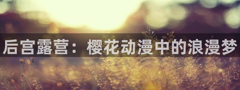 动漫天堂下载入口：后宫露营：樱花动漫中的浪漫梦