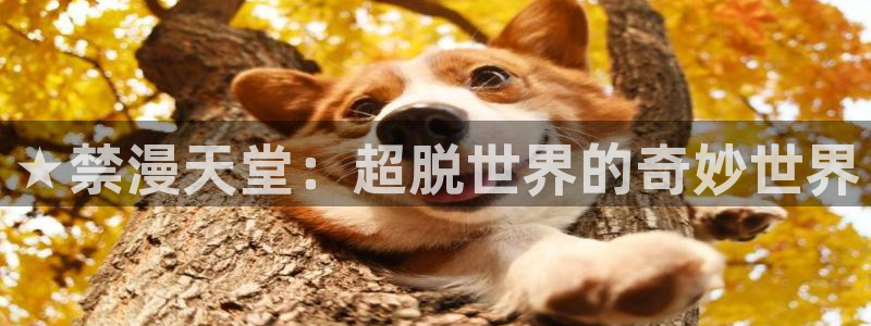 动漫天堂樱花：★禁漫天堂：超脱世界的奇妙世界