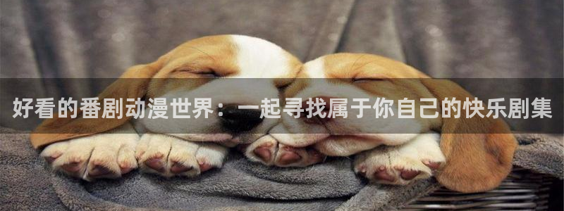 动漫天堂官网在线入口：好看的番剧动漫世界：一起寻找属于你自己的快乐剧集