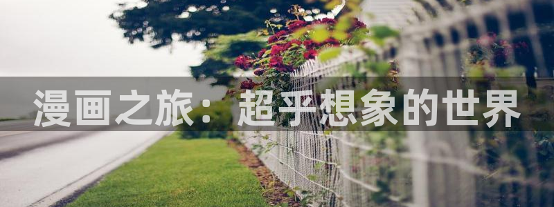 colomanage漫画官网：漫画之旅：超乎想象的世界