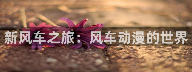动漫天堂下载动漫全免费：新风车之旅：风车动漫的世界
