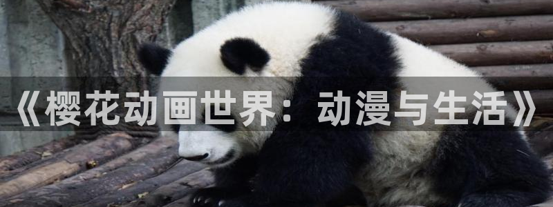 动漫天堂官网网址：《樱花动画世界：动漫与生活》