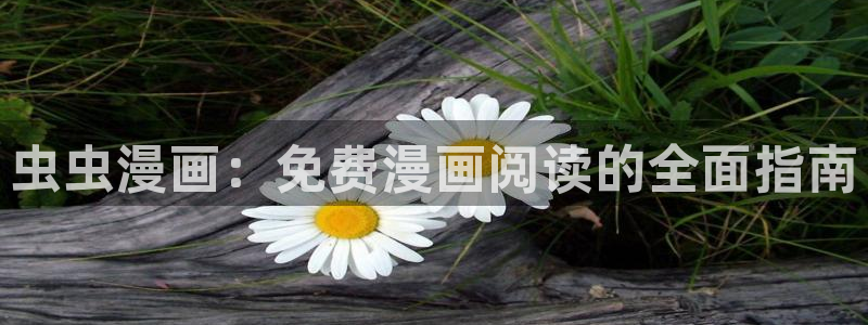 age专注动漫的门户网站：虫虫漫画：免费漫画阅读的全面指南