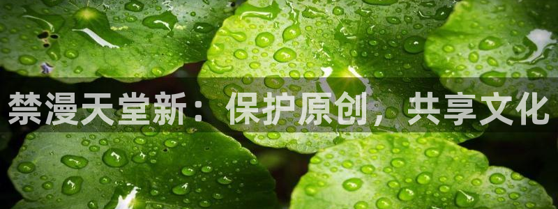 动漫天堂下载：禁漫天堂新：保护原创，共享文化