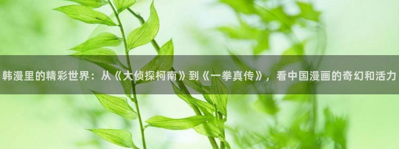 managereader漫画官网入口：韩漫里的精彩世界：从《大侦探柯南》到《一拳真传》，看中国漫画的奇幻和活力