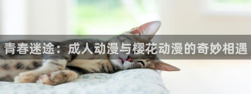stagenehind韩漫免费观看：青春迷途：成人动漫与樱花动漫的奇妙相遇
