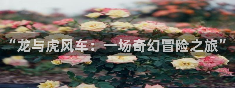 动漫天堂樱花：“龙与虎风车：一场奇幻冒险之旅”