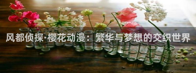 动漫天堂网：风都侦探·樱花动漫：繁华与梦想的交织世界